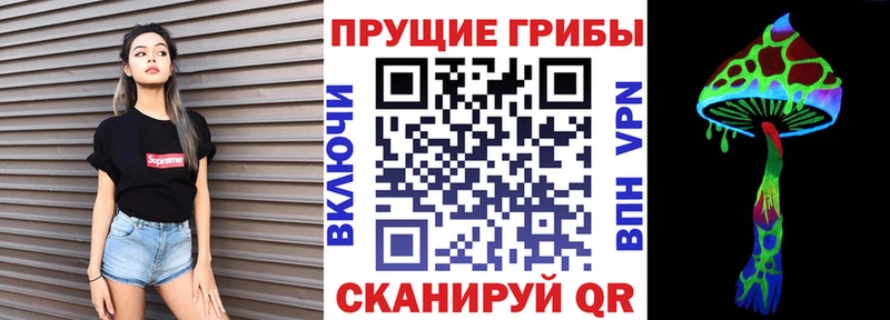 Галлюциногенные грибы Psilocybine cubensis  Николаевск-на-Амуре 